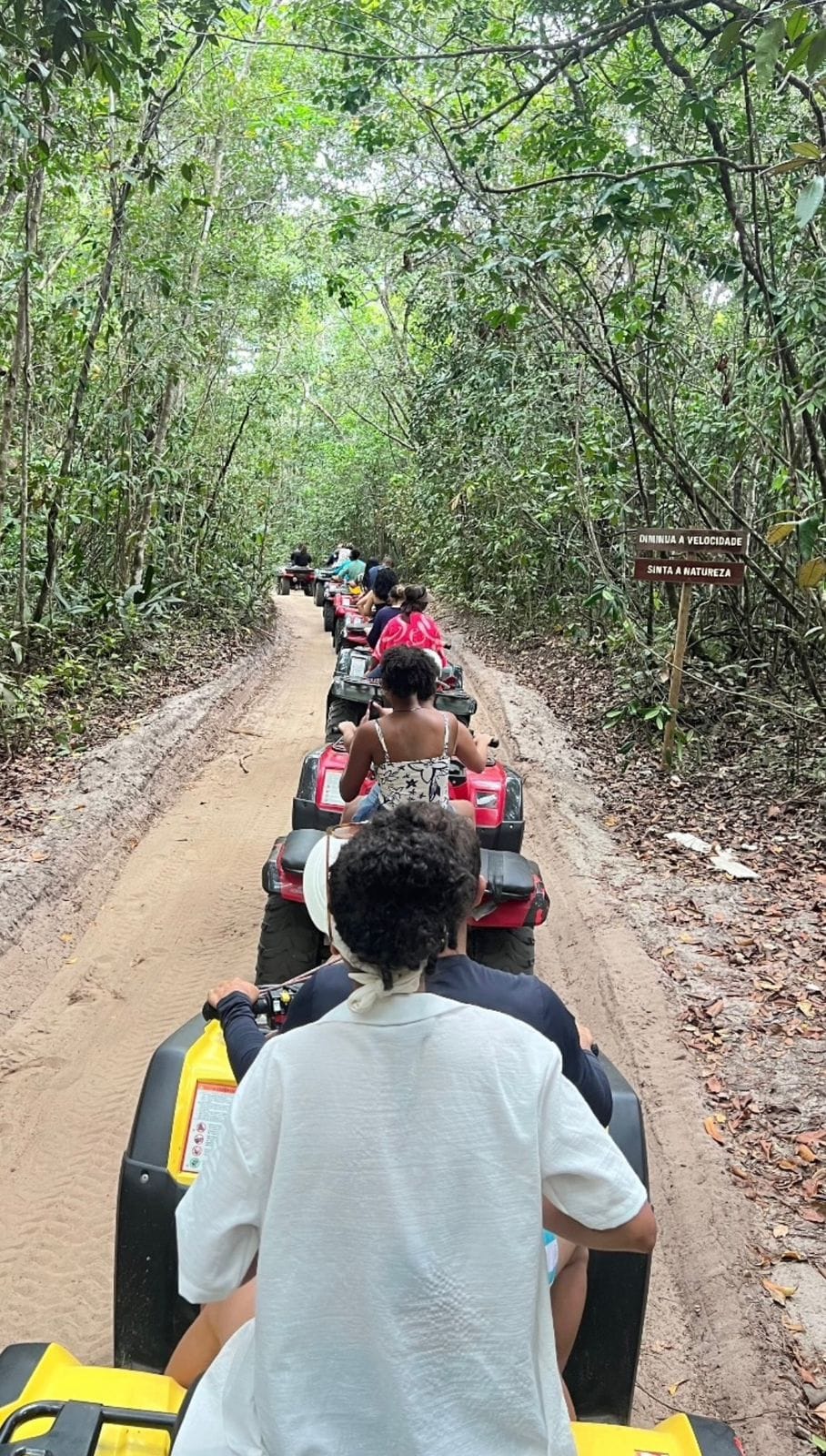 Grupo de quadriciclos em fila entre coqueiros